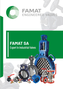 Famat Brochure