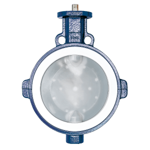 JMT Butterfly Valve with PTFE liner